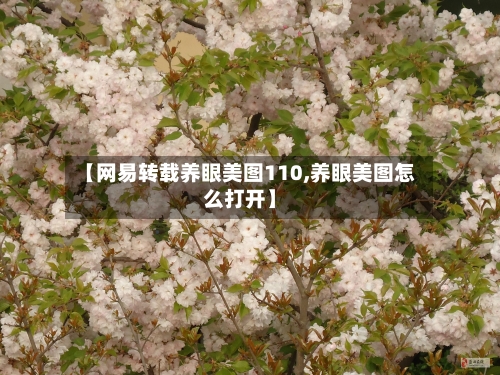 【网易转载养眼美图110,养眼美图怎么打开】-第1张图片