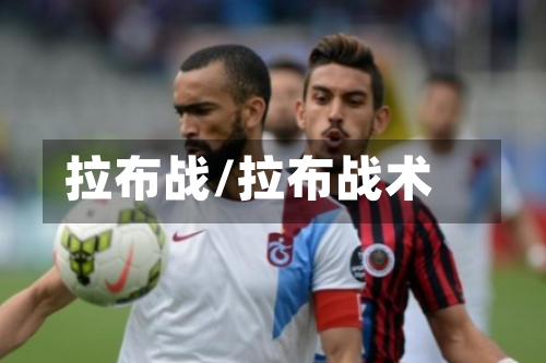 拉布战/拉布战术-第1张图片