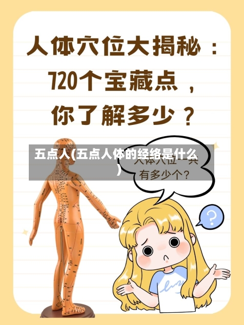 五点人(五点人体的经络是什么)-第1张图片