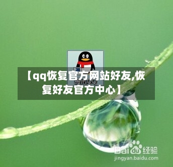 【qq恢复官方网站好友,恢复好友官方中心】-第2张图片