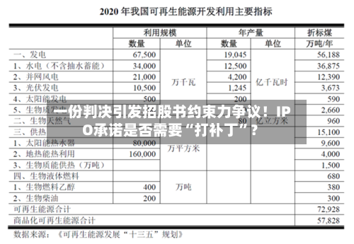一份判决引发招股书约束力争议！IPO承诺是否需要“打补丁	”？-第2张图片