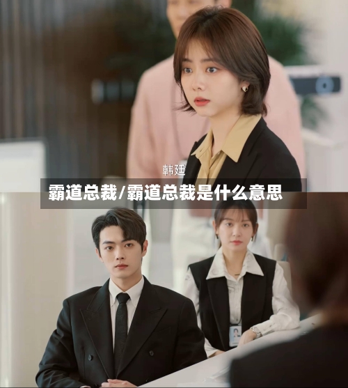 霸道总裁/霸道总裁是什么意思-第2张图片