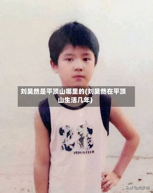 刘昊然是平顶山哪里的(刘昊然在平顶山生活几年)-第2张图片