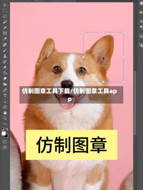 仿制图章工具下载/仿制图章工具app-第3张图片