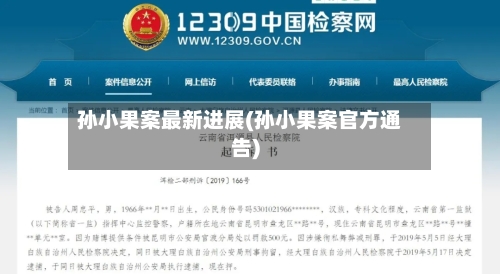 孙小果案最新进展(孙小果案官方通告)-第1张图片