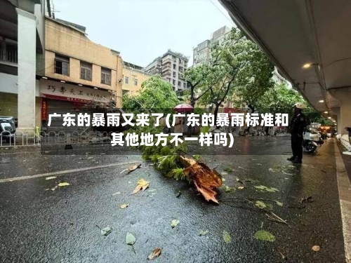 广东的暴雨又来了(广东的暴雨标准和其他地方不一样吗)-第1张图片