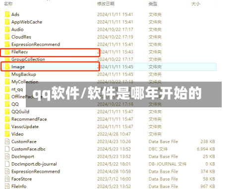 qq软件/软件是哪年开始的-第2张图片