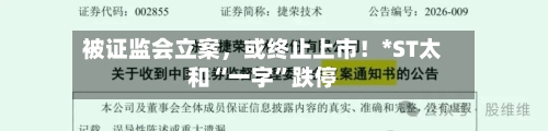 被证监会立案，或终止上市！*ST太和“一字	”跌停-第1张图片