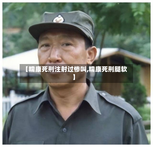 【糯康死刑注射过惨叫,糯康死刑腿软】-第1张图片