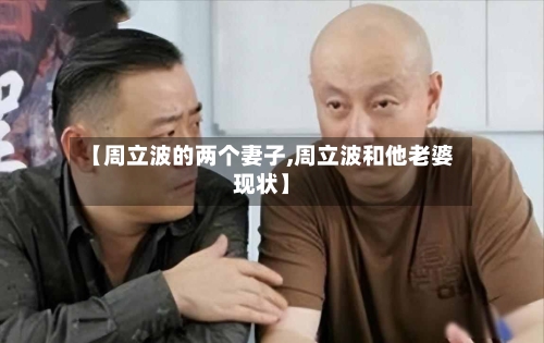 【周立波的两个妻子,周立波和他老婆现状】-第3张图片