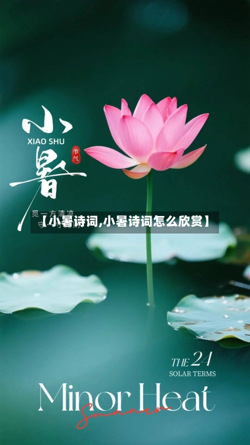 【小暑诗词,小暑诗词怎么欣赏】-第1张图片