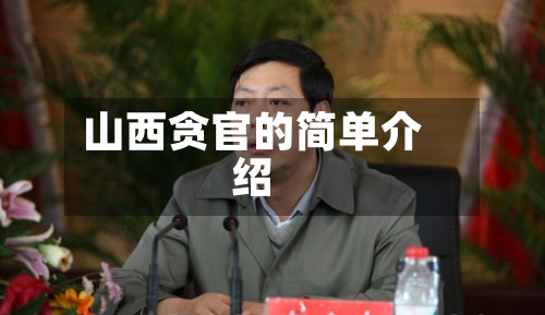山西贪官的简单介绍-第2张图片