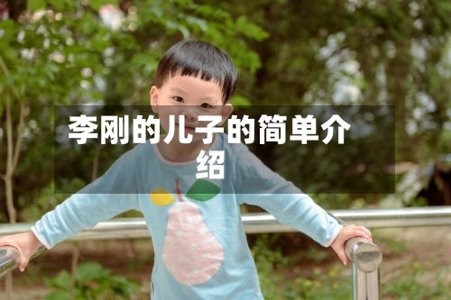 李刚的儿子的简单介绍-第2张图片