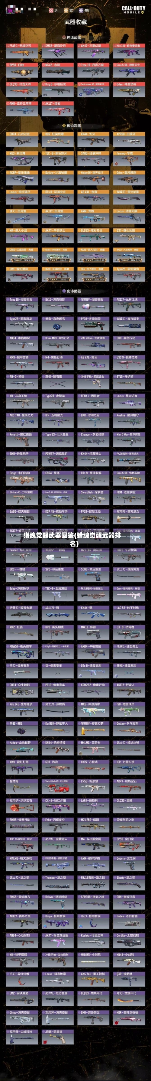 猎魂觉醒武器图鉴(猎魂觉醒武器排名)-第1张图片