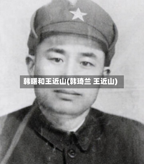韩曙和王近山(韩琦兰 王近山)-第2张图片