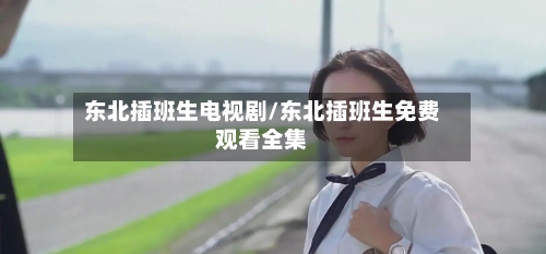东北插班生电视剧/东北插班生免费观看全集-第2张图片