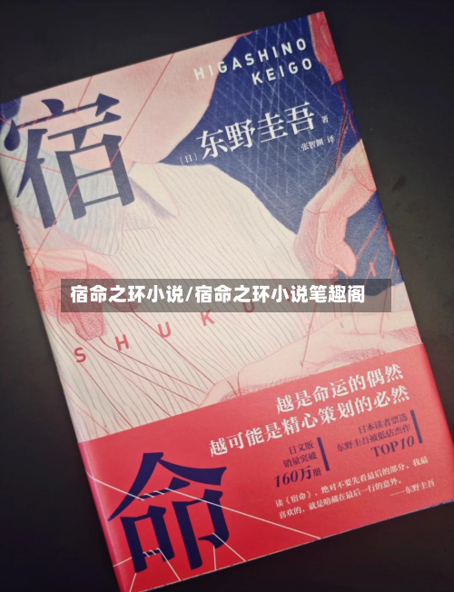 宿命之环小说/宿命之环小说笔趣阁-第1张图片