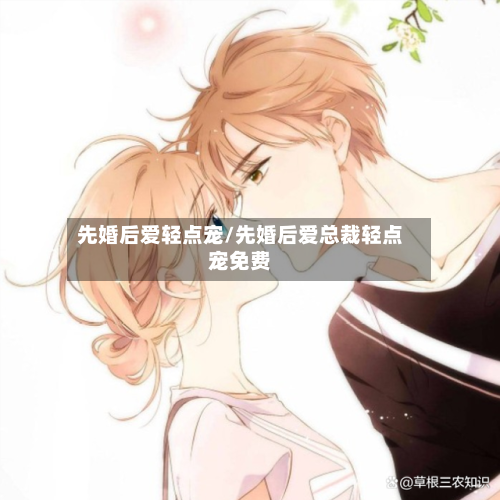 先婚后爱轻点宠/先婚后爱总裁轻点宠免费-第2张图片