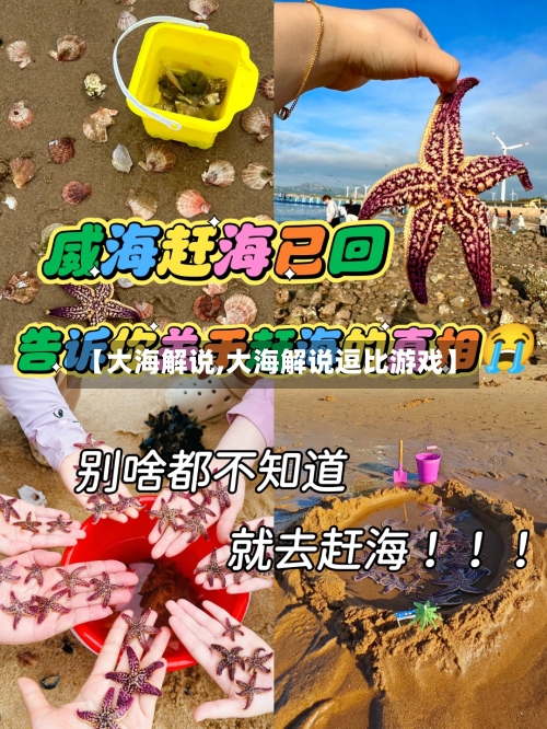 【大海解说,大海解说逗比游戏】-第2张图片