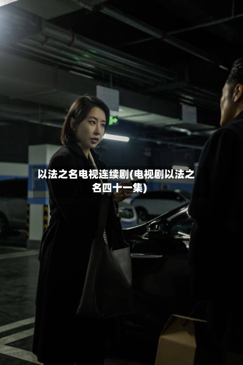 以法之名电视连续剧(电视剧以法之名四十一集)-第2张图片