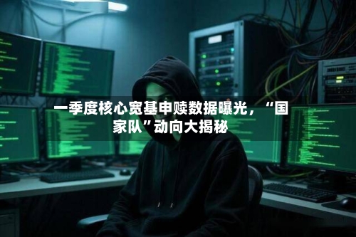 一季度核心宽基申赎数据曝光，“国家队”动向大揭秘-第2张图片