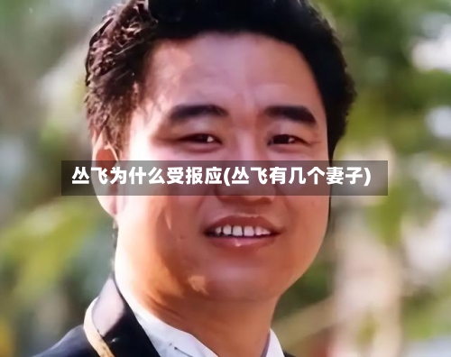 丛飞为什么受报应(丛飞有几个妻子)-第2张图片