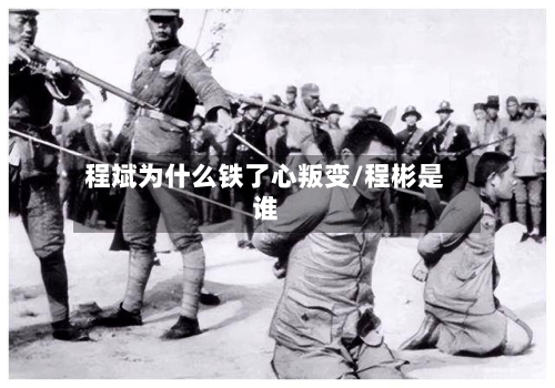程斌为什么铁了心叛变/程彬是谁-第2张图片