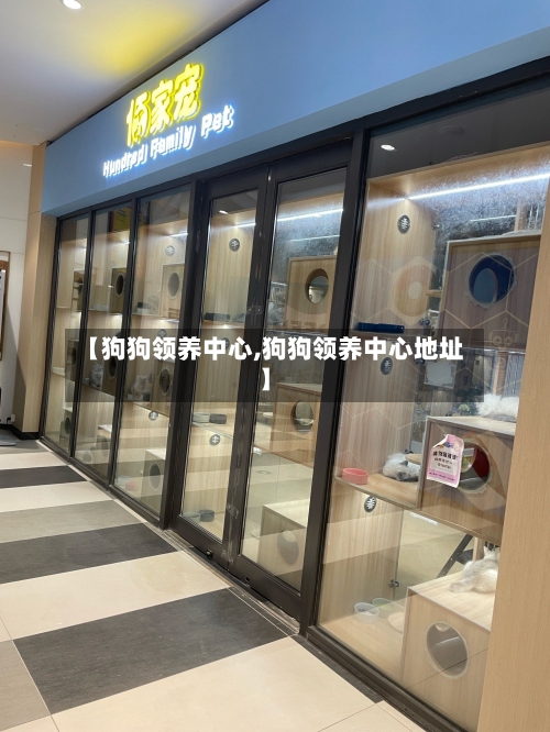 【狗狗领养中心,狗狗领养中心地址】-第2张图片