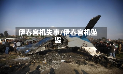 伊春客机失事/伊春客机坠毁-第2张图片