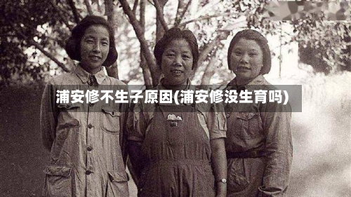 浦安修不生子原因(浦安修没生育吗)-第1张图片