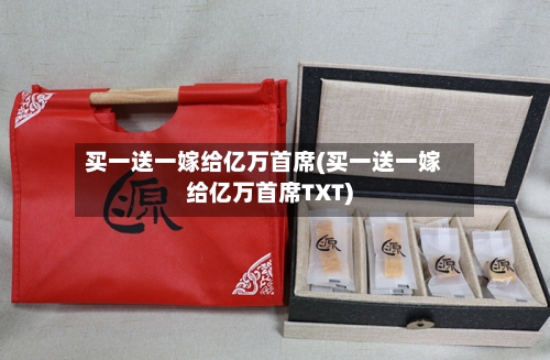 买一送一嫁给亿万首席(买一送一嫁给亿万首席TXT)-第2张图片