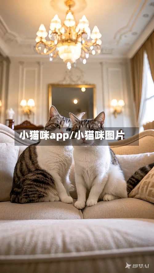 小猫咪app/小猫咪图片-第3张图片
