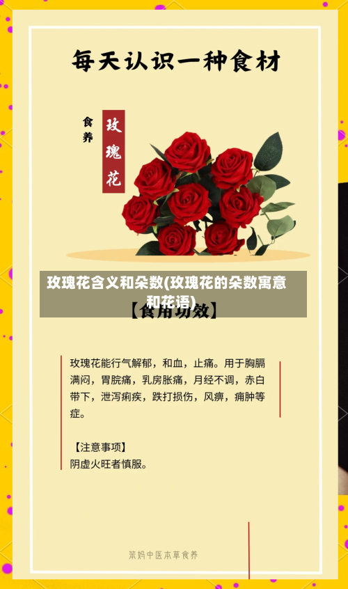 玫瑰花含义和朵数(玫瑰花的朵数寓意和花语)-第2张图片