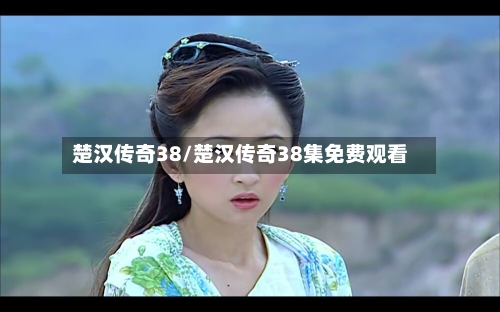 楚汉传奇38/楚汉传奇38集免费观看-第3张图片