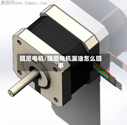 阻尼电机/阻尼电机漏油怎么回事-第2张图片