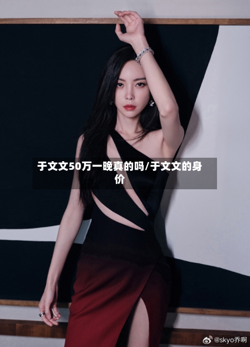 于文文50万一晚真的吗/于文文的身价-第2张图片