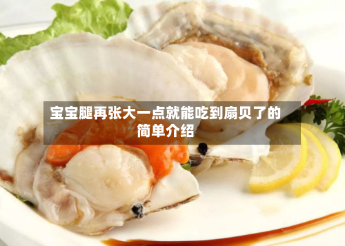 宝宝腿再张大一点就能吃到扇贝了的简单介绍-第1张图片