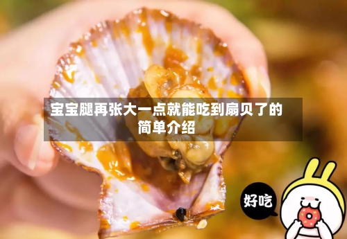 宝宝腿再张大一点就能吃到扇贝了的简单介绍-第2张图片