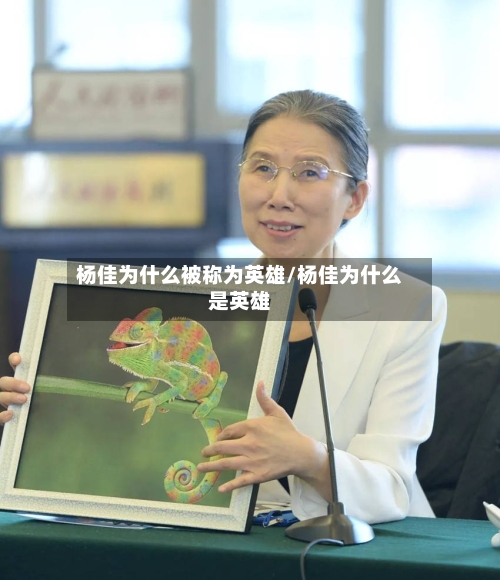 杨佳为什么被称为英雄/杨佳为什么是英雄-第2张图片