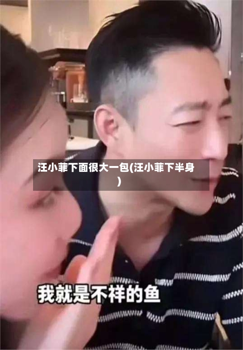 汪小菲下面很大一包(汪小菲下半身)-第1张图片