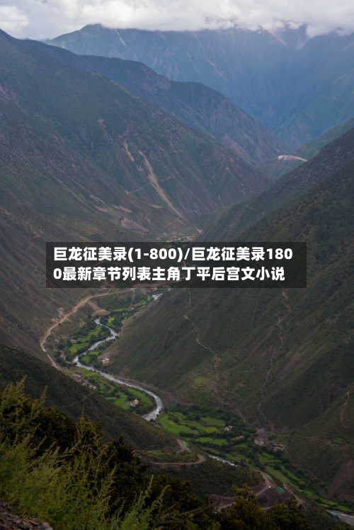 巨龙征美录(1-800)/巨龙征美录1800最新章节列表主角丁平后宫文小说-第1张图片