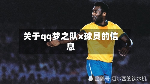 关于qq梦之队x球员的信息-第2张图片