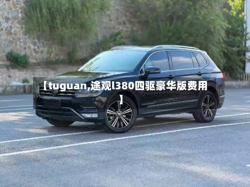 【tuguan,途观l380四驱豪华版费用】-第3张图片