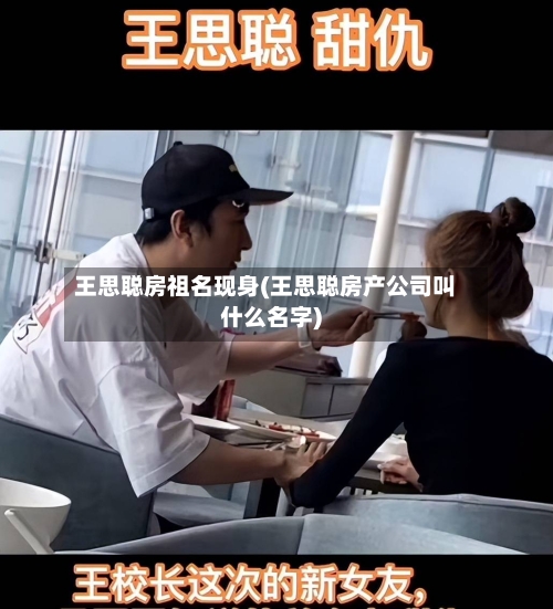王思聪房祖名现身(王思聪房产公司叫什么名字)-第2张图片