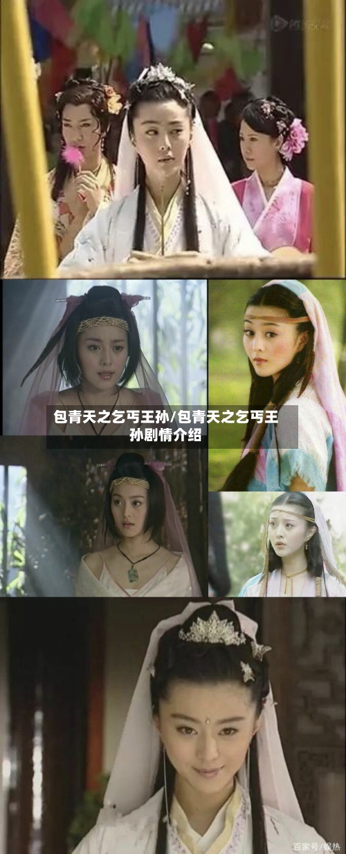 包青天之乞丐王孙/包青天之乞丐王孙剧情介绍-第3张图片