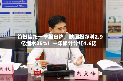 首份信托一季报出炉，陕国投净利2.9亿缩水25%！一年累计分红4.6亿-第1张图片