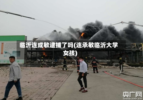 临沂连成敏逮捕了吗(连承敏临沂大学女孩)-第3张图片