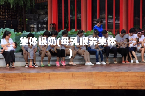 集体喂奶(母乳喂养集体)-第1张图片