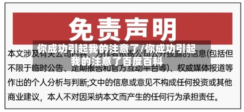 你成功引起我的注意了/你成功引起我的注意了百度百科-第2张图片