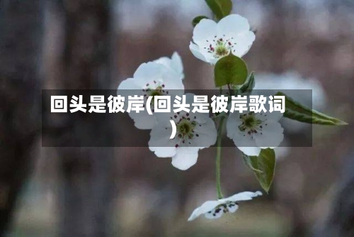 回头是彼岸(回头是彼岸歌词)-第3张图片